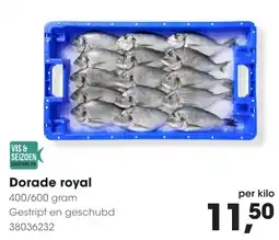 Hanos Dorade Royal aanbieding