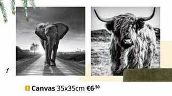 YGO Canvas aanbieding