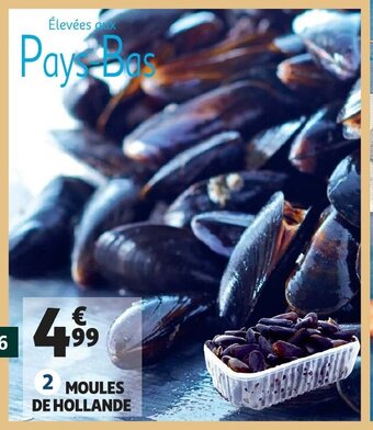 Auchan Moules De Hollande aanbieding