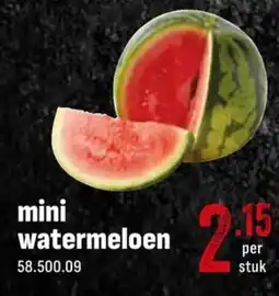 Horeca totaal Mini watermeloen aanbieding