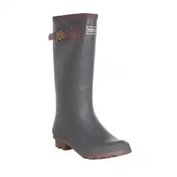 Decathlon Dames Ly Fairweather II Hoge Duurzame Rubberen Laarzen (Stormgrijs/Lila krijt) aanbieding
