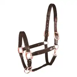 Decathlon Halsband voor paard Star Mix aanbieding