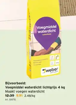GAMMA Voegmiddel waterdicht lichtgrijs 4 kg aanbieding
