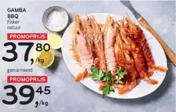 Alvo Gamba BBQ aanbieding