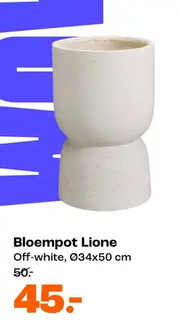 Kwantum Bloempot Lione aanbieding