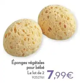 Cora Tigex Éponges végétales pour bébé aanbieding