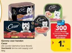 Carrefour Gamma voor honden Cesar aanbieding