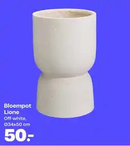 Kwantum Bloempot Lione aanbieding