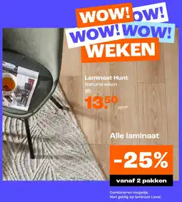 Kwantum Laminaat Hunt aanbieding