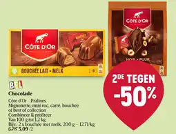 Delhaize Chocolade aanbieding