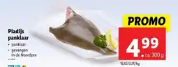 Lidl Pladijs Panklaar aanbieding