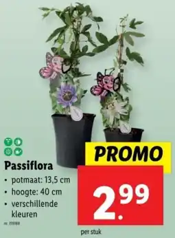 Lidl Passiflora aanbieding
