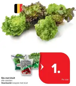 Carrefour Market Sla met kluit alle soorten aanbieding