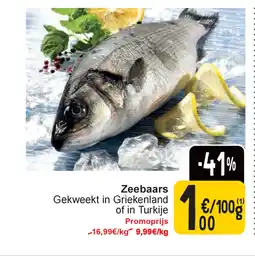 Zeebaars