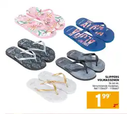 Trafic Slippers volwassenen aanbieding