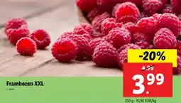 Lidl Frambozen XXL aanbieding