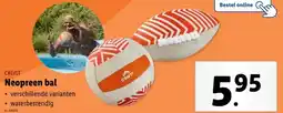 Lidl Neopreen bal aanbieding