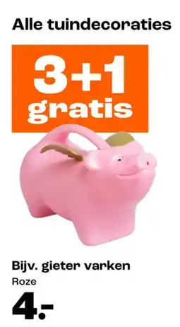 Kwantum Gieter varken aanbieding