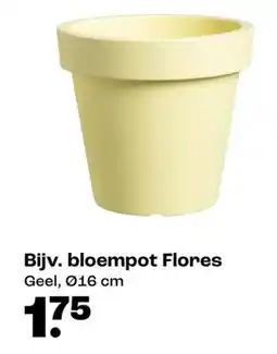 Kwantum Bloempot flores aanbieding