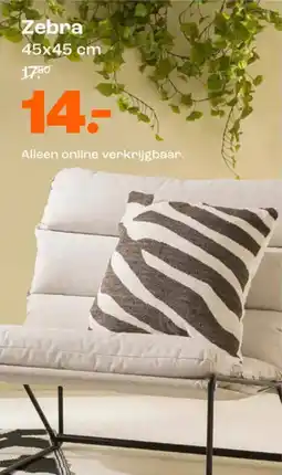 Kwantum Zebra aanbieding