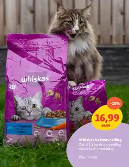 Maxi Zoo Whiskas kattenvoeding aanbieding