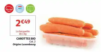 Carottes bio