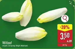 ALDI Witloof aanbieding