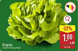 ALDI Kropsla aanbieding