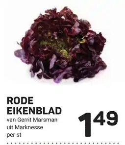 Ekoplaza Rode eikenblad aanbieding