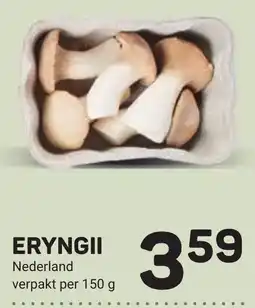 Ekoplaza Eryngii aanbieding