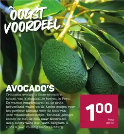 Ekoplaza Avocado's aanbieding
