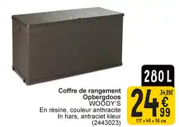 Cora Opbergdoos woody's aanbieding