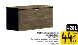 Cora Opbergdoos woody's aanbieding