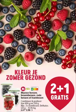Delhaize Blauwe bessen, braambessen, rode bessen of frambozen aanbieding