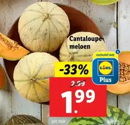 Lidl Cantaloupe meloen aanbieding