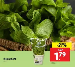 Lidl Biomunt XXL aanbieding