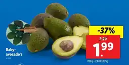 Lidl Baby avocado's aanbieding
