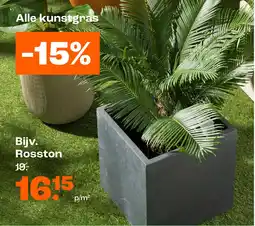 Kwantum Rosston aanbieding