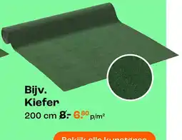 Kwantum Kiefer aanbieding