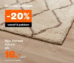 Kwantum Forest aanbieding