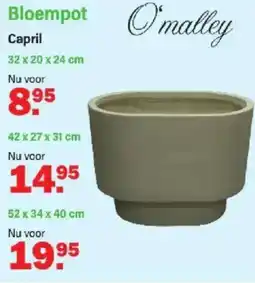 Van Cranenbroek O'malley bloempot Capril aanbieding