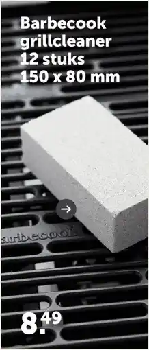 AVEVE Barbecook grillcleaner 12 stuks 150 x 80 mm aanbieding