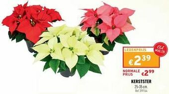 Trafic Kerstster aanbieding