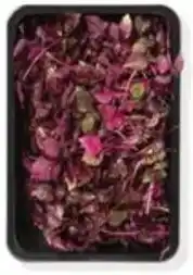 Hanos Cresco Micro Shiso Perilla purper aanbieding