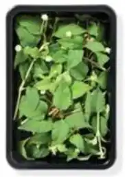 Hanos Cresco Aztec Sweet Leaves aanbieding