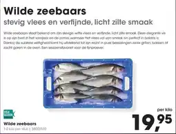 Wilde zeebaars