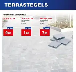 Hubo Terrastegels Bluestone Getrommeld aanbieding