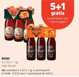 Spar BUSH caractère 6 x 33 cl + lg. in promopack aanbieding