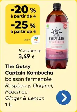 Bio Planet The Gutsy Captain Kombucha Raspberry aanbieding