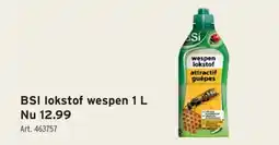 GAMMA BSI lokstof wespen 1 L aanbieding
